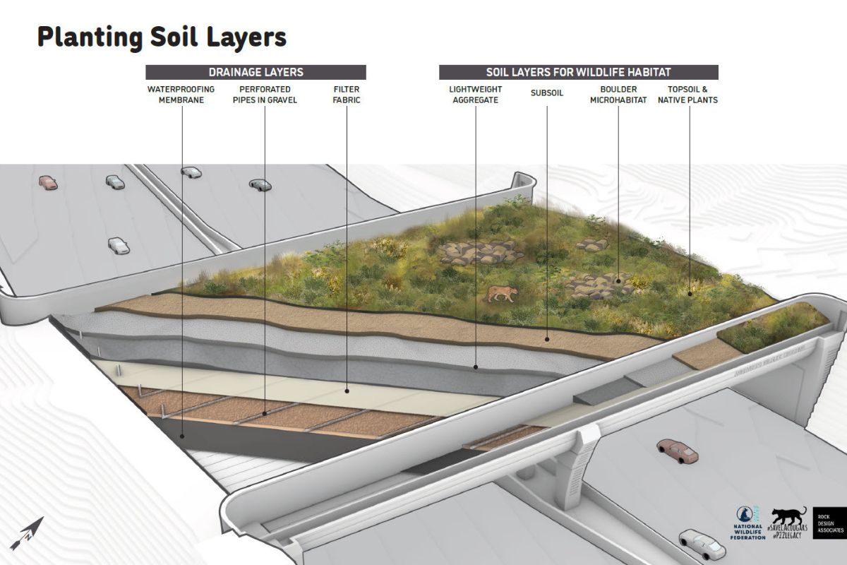 Wildlife crossing_soil