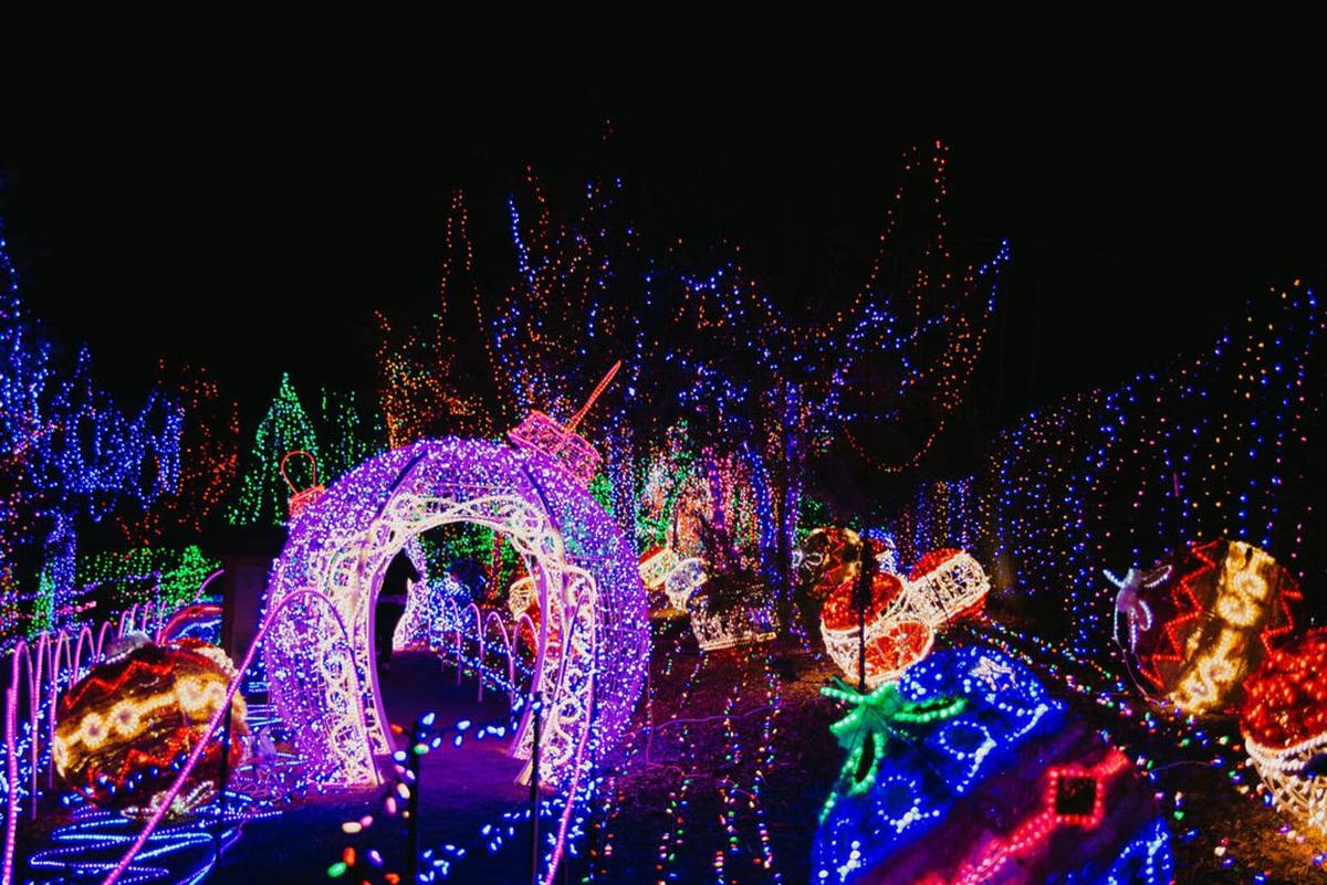 This California Christmas Market Is Decked Out With 3 Million Lights — Known For Its Cozy German Biergarten And Handmade Gifts