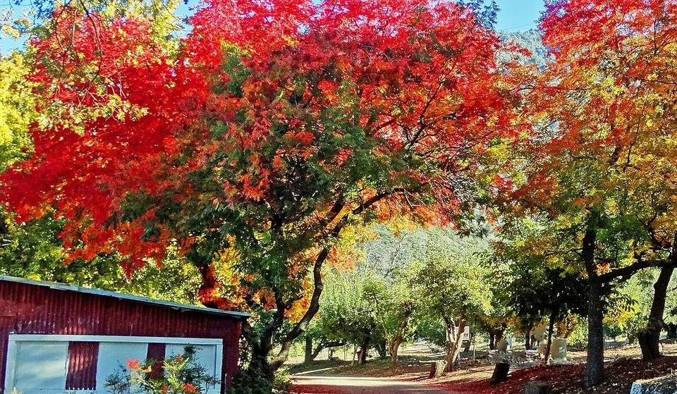 See The Last Of California’s Fall Foliage In This Alpine Town 2 Hours From L.A. — Famous For Bountiful Apple Orchards