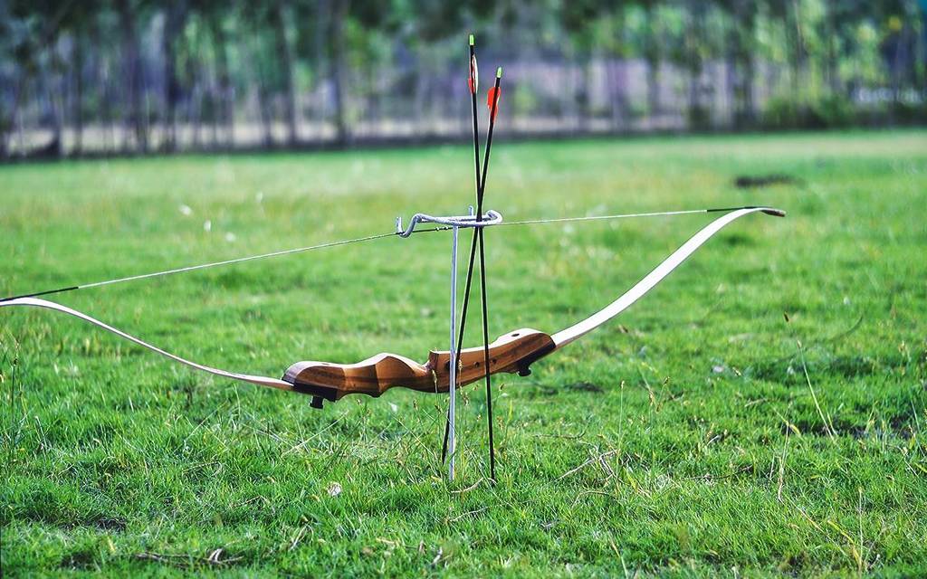 A bow and teo arrows standing upright in some grass.