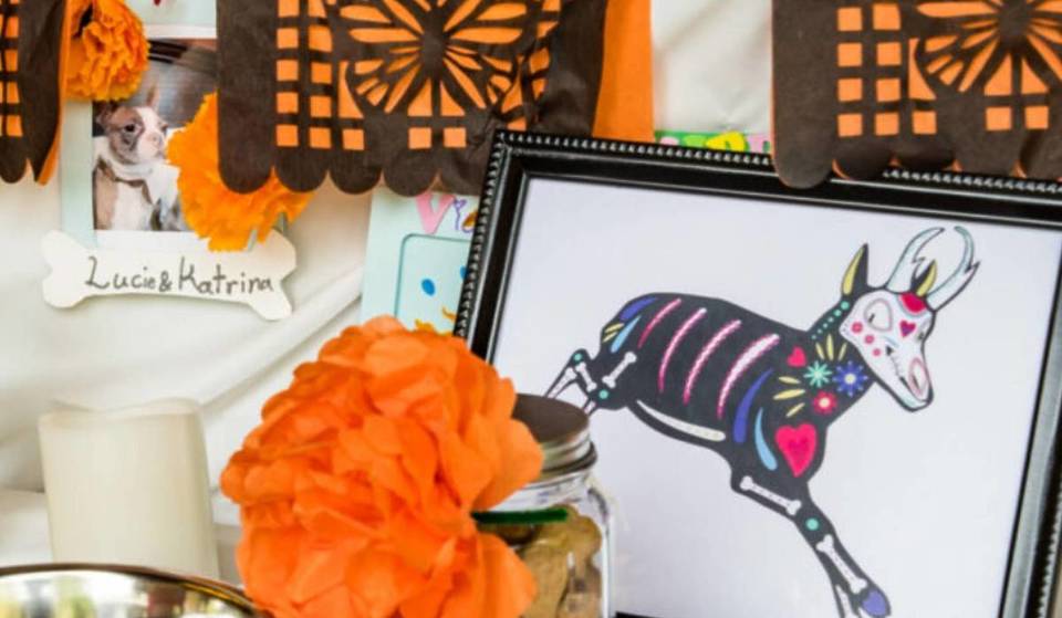 Ehren Sie Ihre geliebten Haustiere an diesem Día De Los Muertos mit der Pet Ofrenda des L.A. Zoos