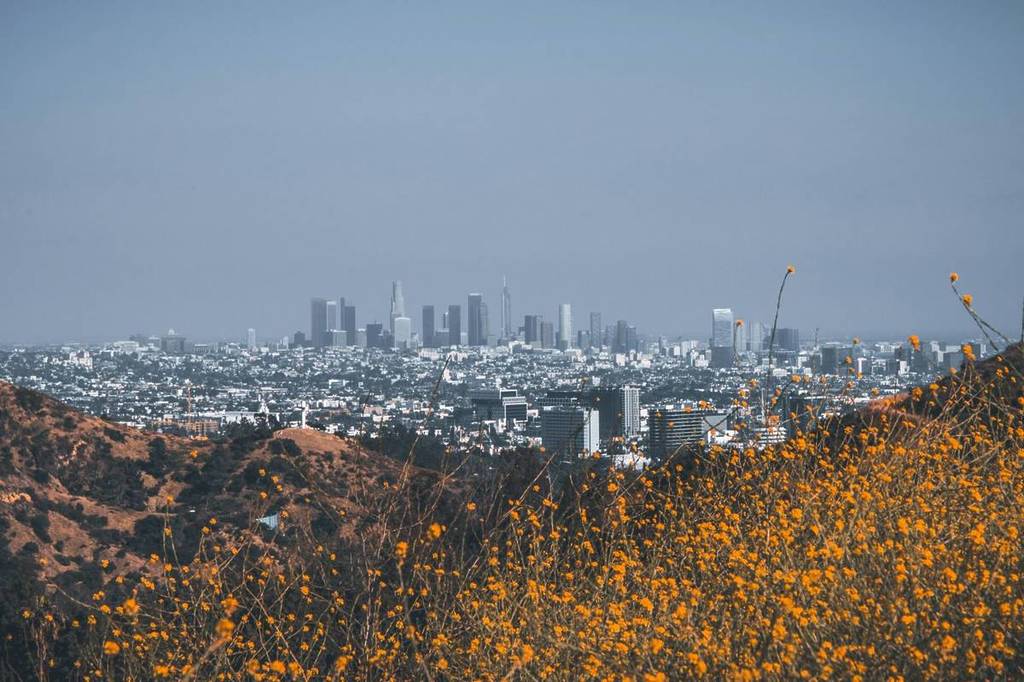 25 Memorable Things To Do And Events In Los Angeles This November 2025