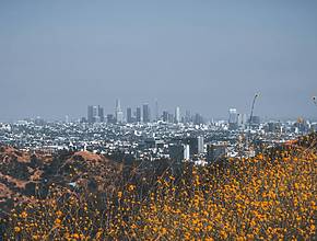 25 Cosas memorables que hacer y eventos en Los Ángeles este noviembre 2025