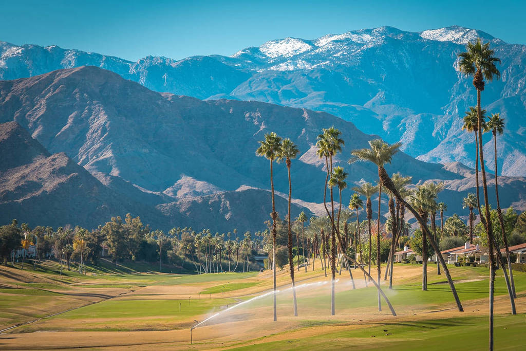 Palm trees on a golf course with snowy mountains in the background.