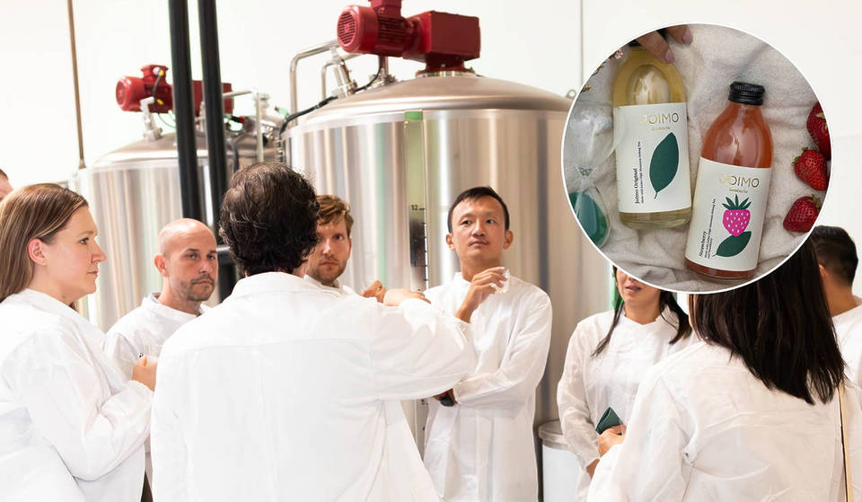 Diese Kombucha-Brauerei in DTLA bietet nur einen Tag lang eine kostenlose Führung an