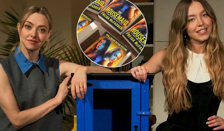 Amanda Seyfried y Sydney Sweeney construyeron una pequeña biblioteca gratuita para regalar a un afortunado angelino &#8211; Aquí está cómo ganar