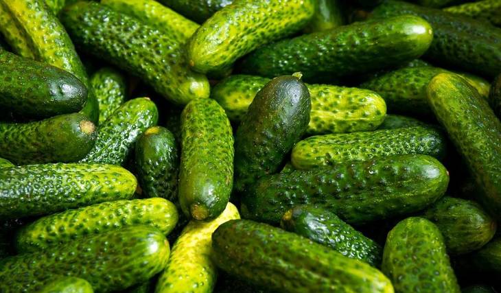 Crunch Into A Dill-icious Deal Today For National Pickle Day 2025
