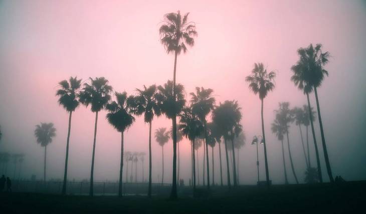 After L.A.’s Wettest November In Decades, Two More Storms Are Headed For SoCal