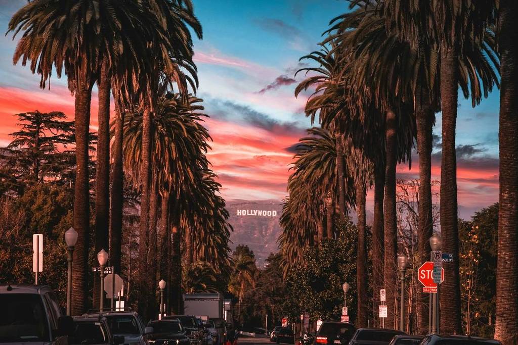 HAMNET’ Flower Pop-Ups gratis en L.A. este fin de semana – Consigue 1 de los 450 ramos gratuitos (antes de que se acaben)