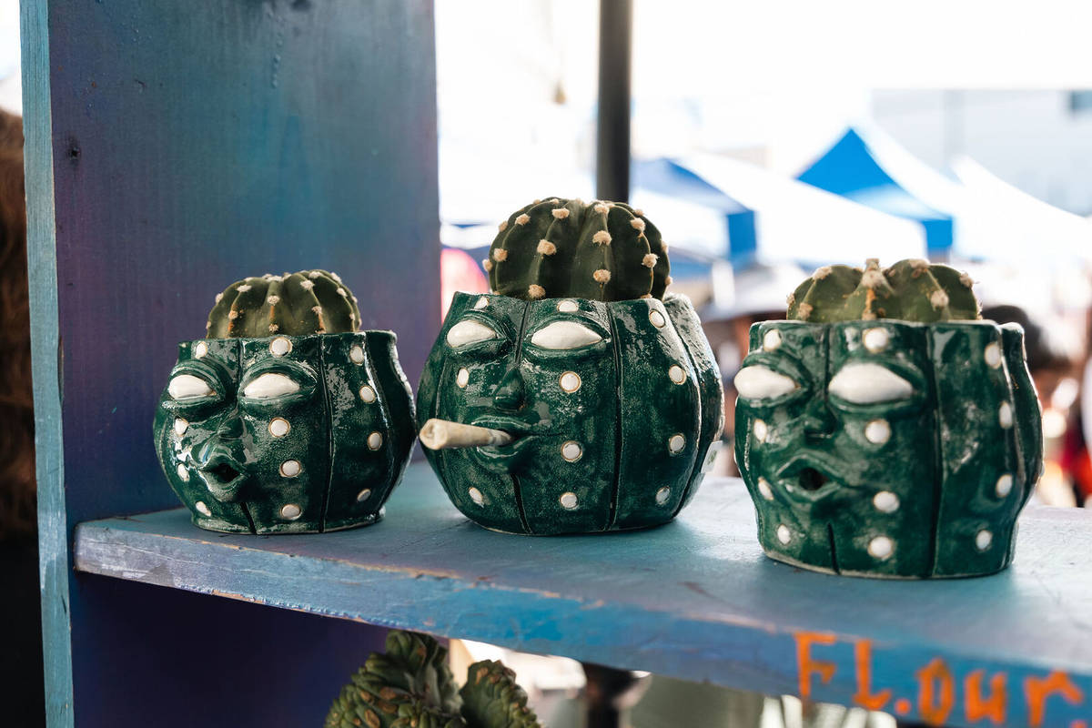 Cactus plant holders