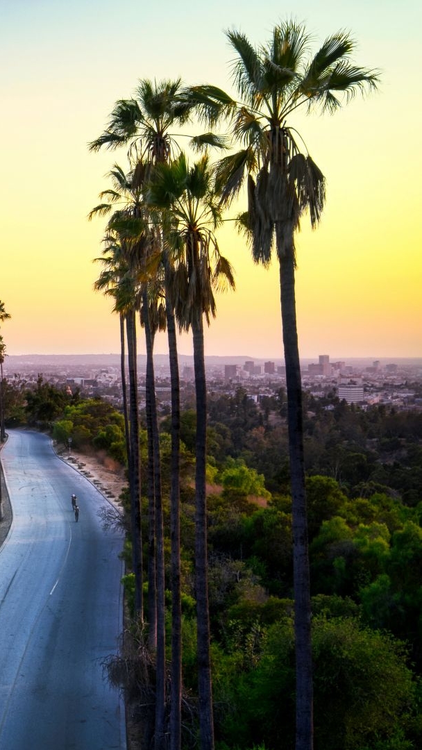 Delightful things to do this weekend in Los Angeles: July 24-26