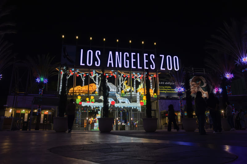 Animals Aglow at Los Angeles Zoo