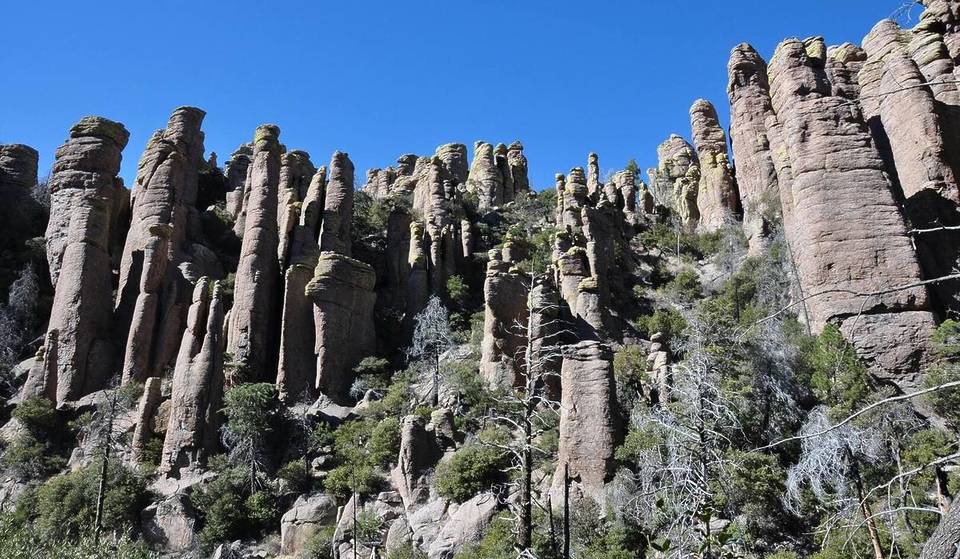 This Dramatic ‘Sky Island’ Landscape May Become The Newest National Park In The Western U.S.