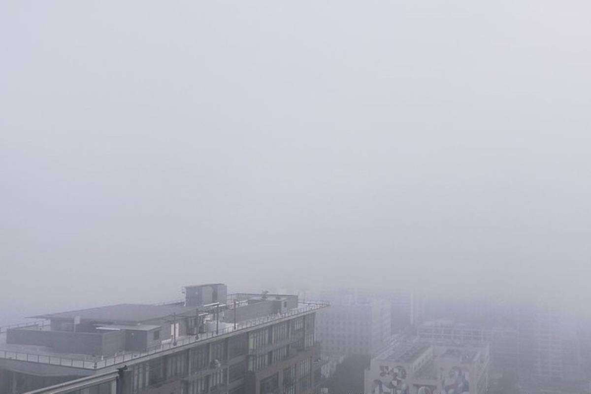 What Is ‘Radiation Fog’? The 400-Mile Weather Phenomenon Had Landed In Los Angeles – & Has A Surprising Silver Lining For California Farmers