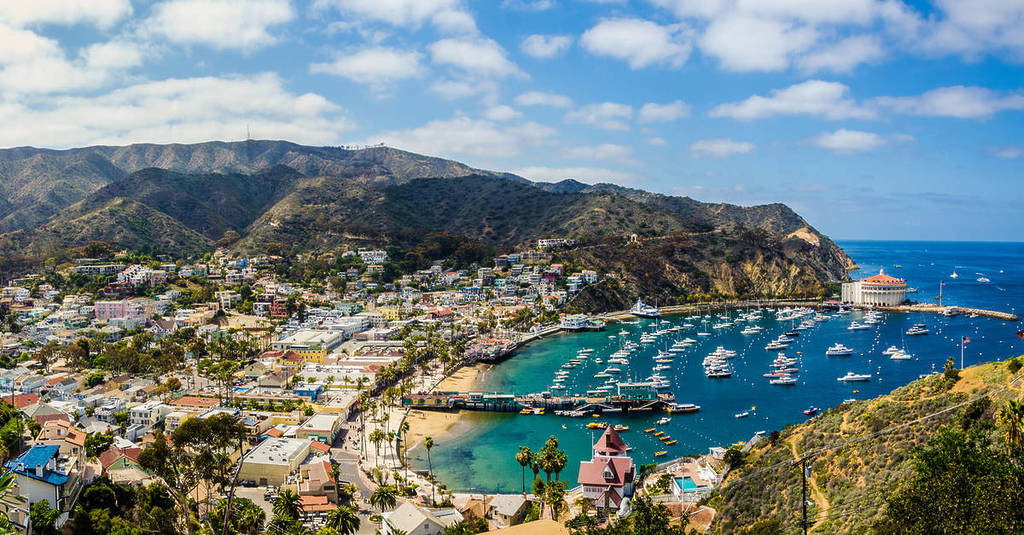 Catalina Island harbor