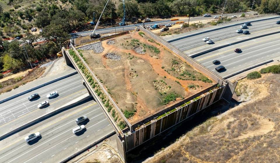 The World’s Largest Wildlife Crossing Gets A New Opening Date As Construction Hits Delays — Here’s Why