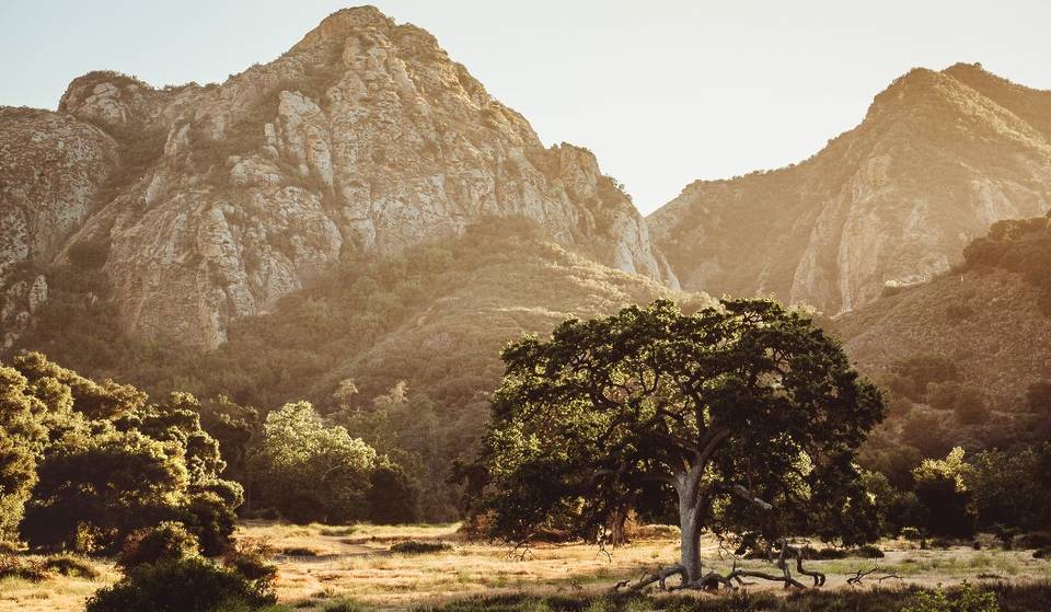 This SoCal State Park Sits In One Of The World’s Five Mediterranean Climate Zones — It Was Featured In 100+ Hollywood Productions
