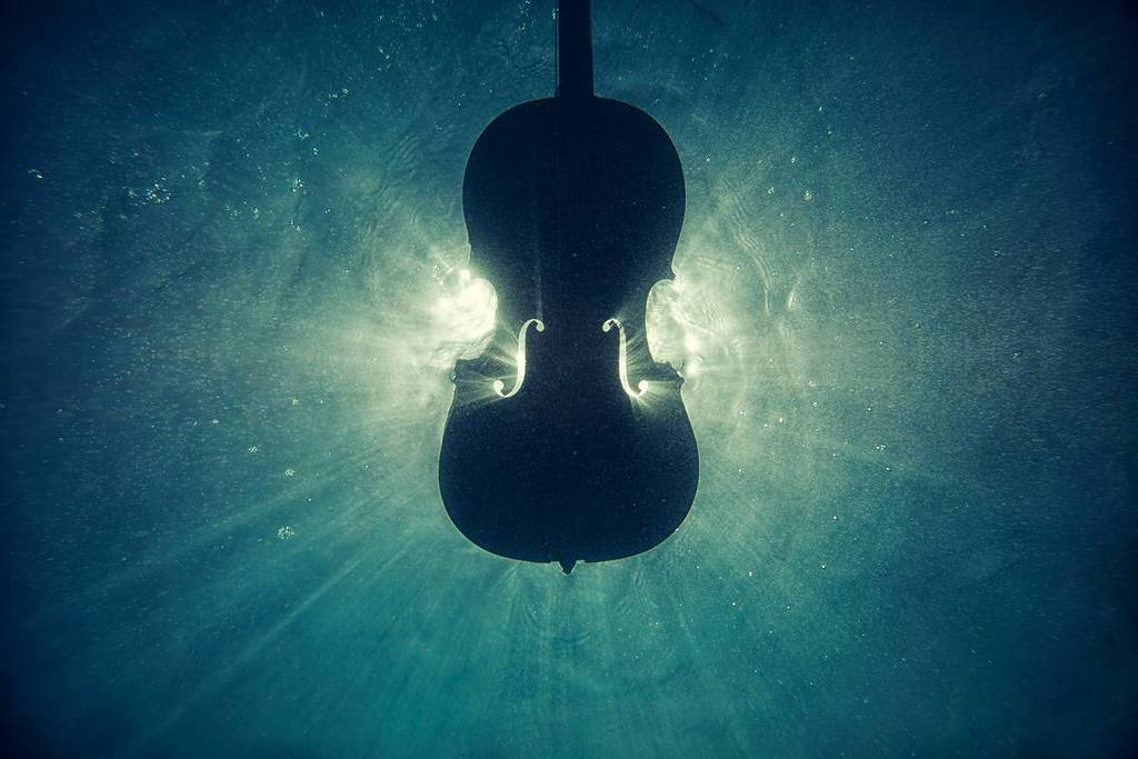 A violion submersed in blue-green water.