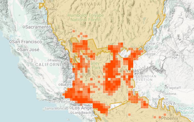 Joshua tree bloom map