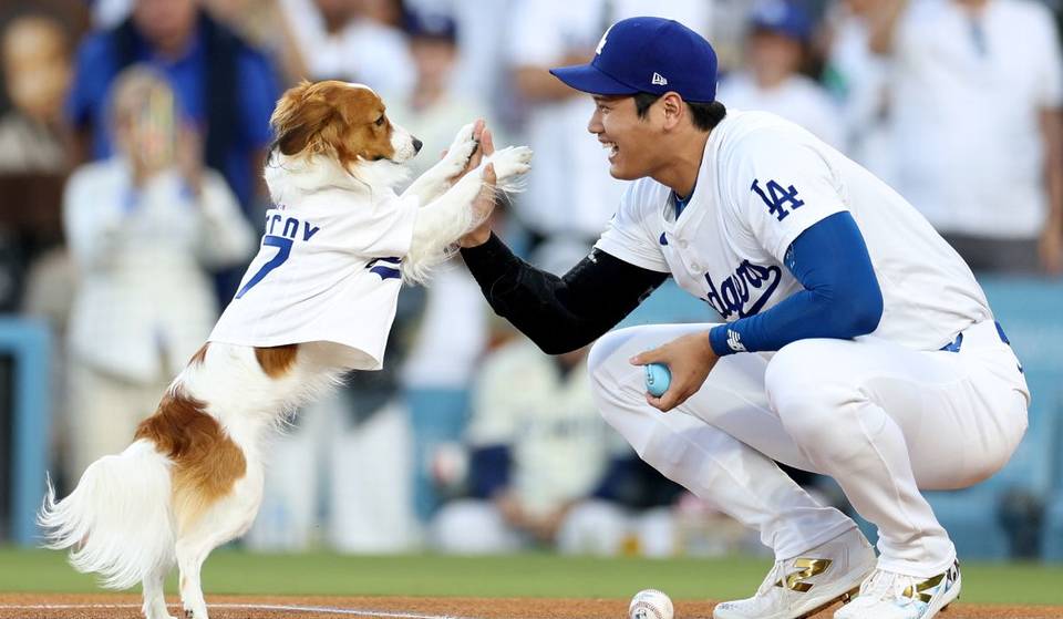‘Decoy Saves Opening Day’: Shohei Ohtani Wrote A Children’s Book Inspired By His Beloved Dog