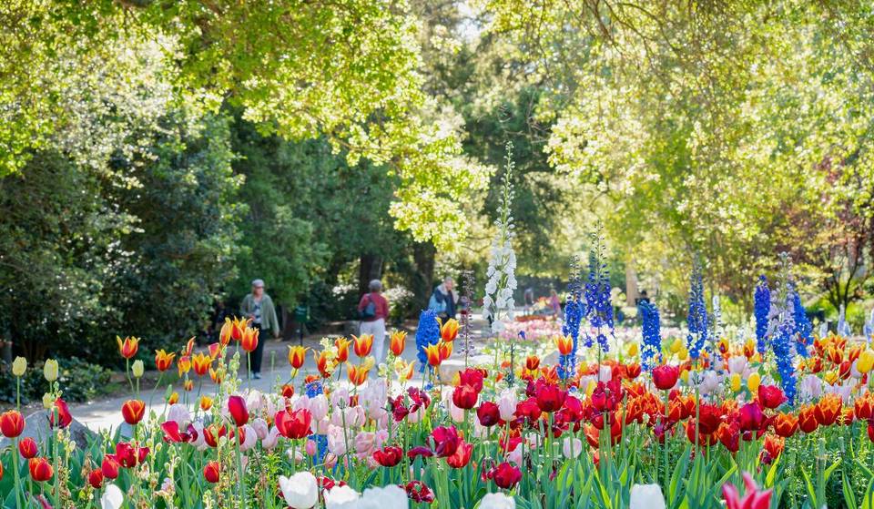 SoCal Spring 2026 Is Expected To Be Drier And Warmer Than Usual — With Inland Areas Feeling Especially Hot