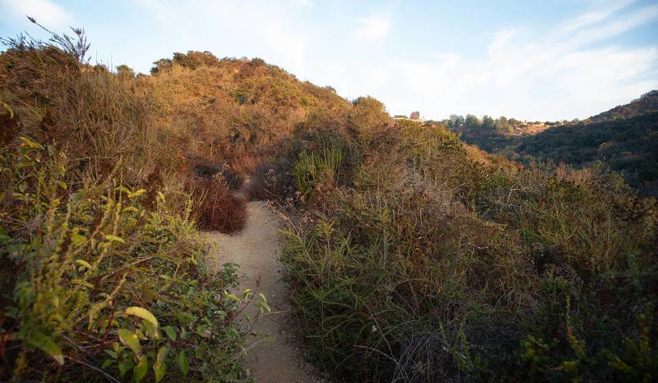 Franklin Canyon Park Is A 605-Acre Oasis In The Middle Of Los Angeles