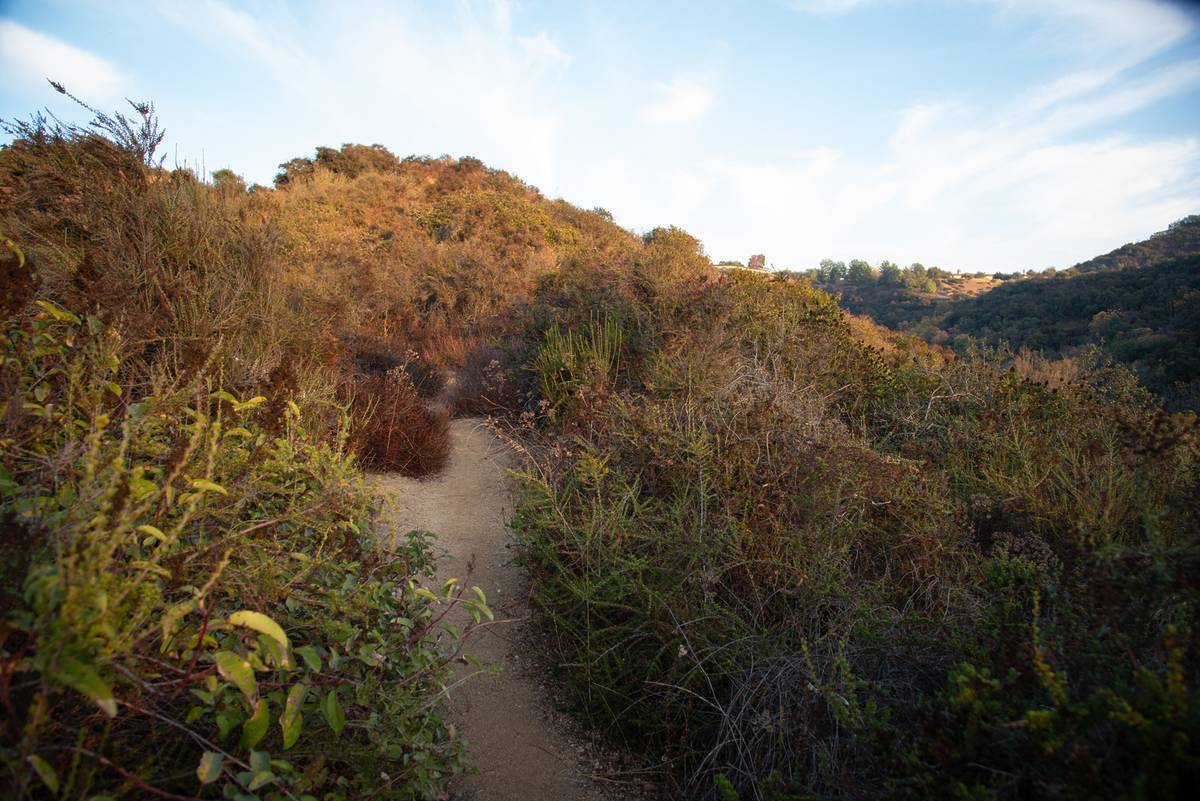 Why Is No One Talking About This 605-Acre Park In The Middle Of Los Angeles? A Little-Known Green Oasis With A Serene Lake And Hollywood History