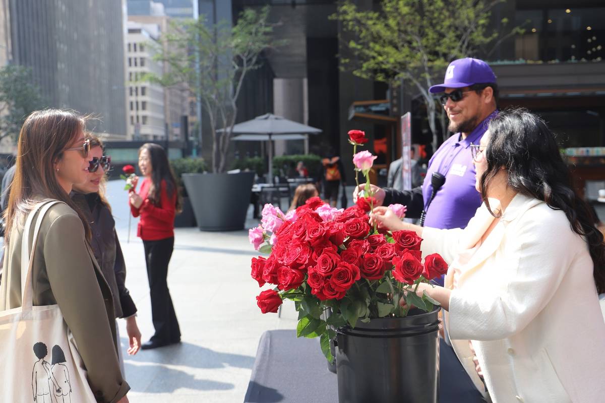 This Flower Giveaway Is Handing Out 2,000 Free Roses In DTLA Just Ahead ...