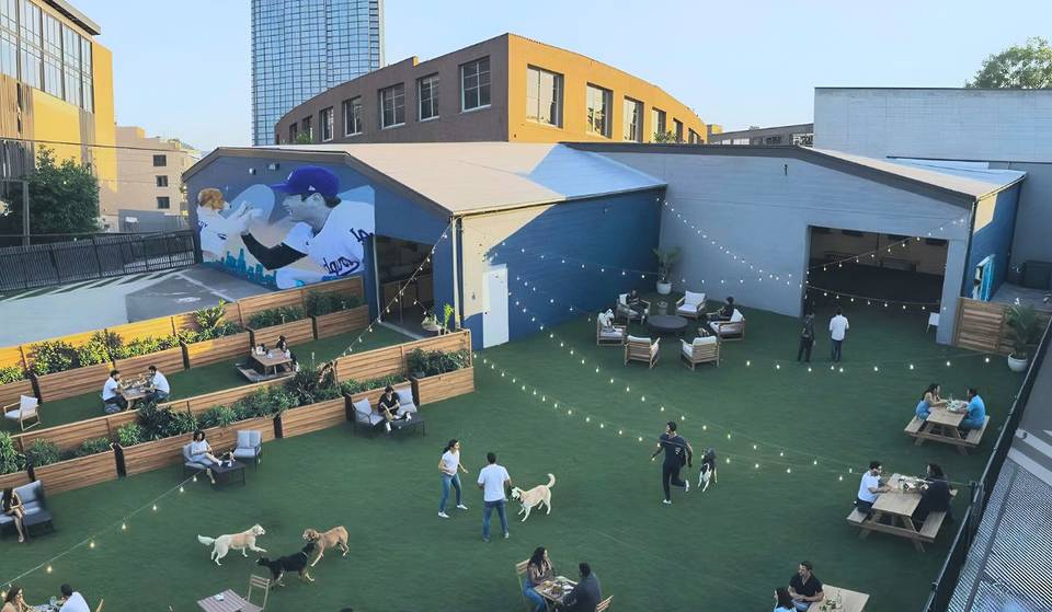 El nuevo mural de Ohtani en Los Ángeles se encuentra en un parque para perros: tu primer vistazo al Pawradise Park.