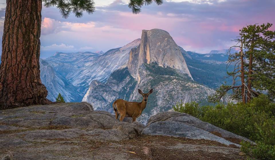 El Parque Nacional de Yosemite elimina las reservas de entrada en 2026 y el NPS recomienda explorar otras opciones.