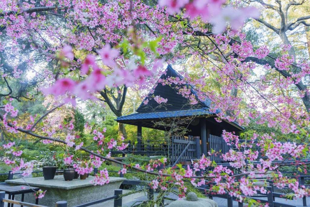 18 cosas magníficas que hacer este mes de marzo en Los Ángeles 2026