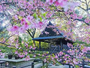 18 cosas magníficas que hacer este mes de marzo en Los Ángeles 2026