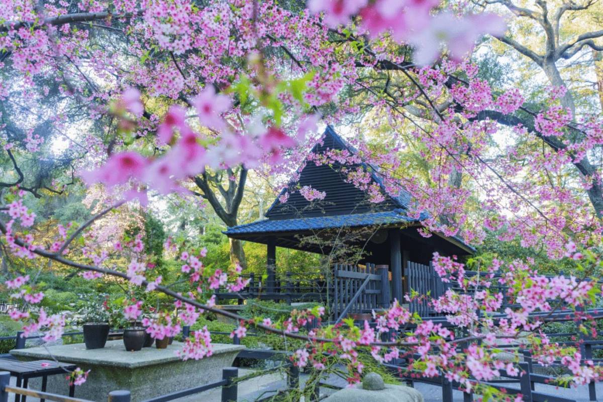 10 Magnificent Things To Do This March In Los Angeles 2026