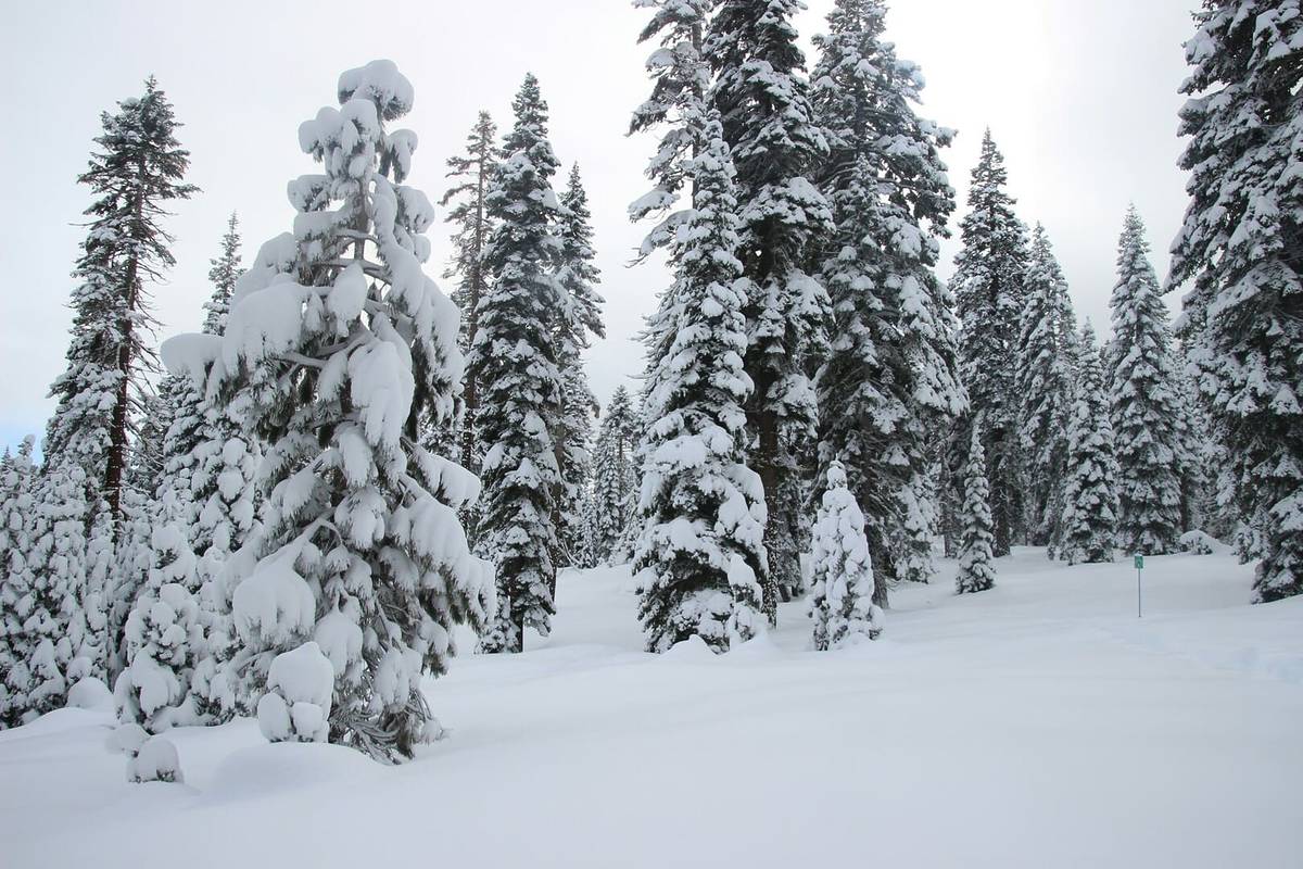National Weather Servic Issues Winter Storm Warning Through Friday As Fresh Snow Buries SoCal Mountains