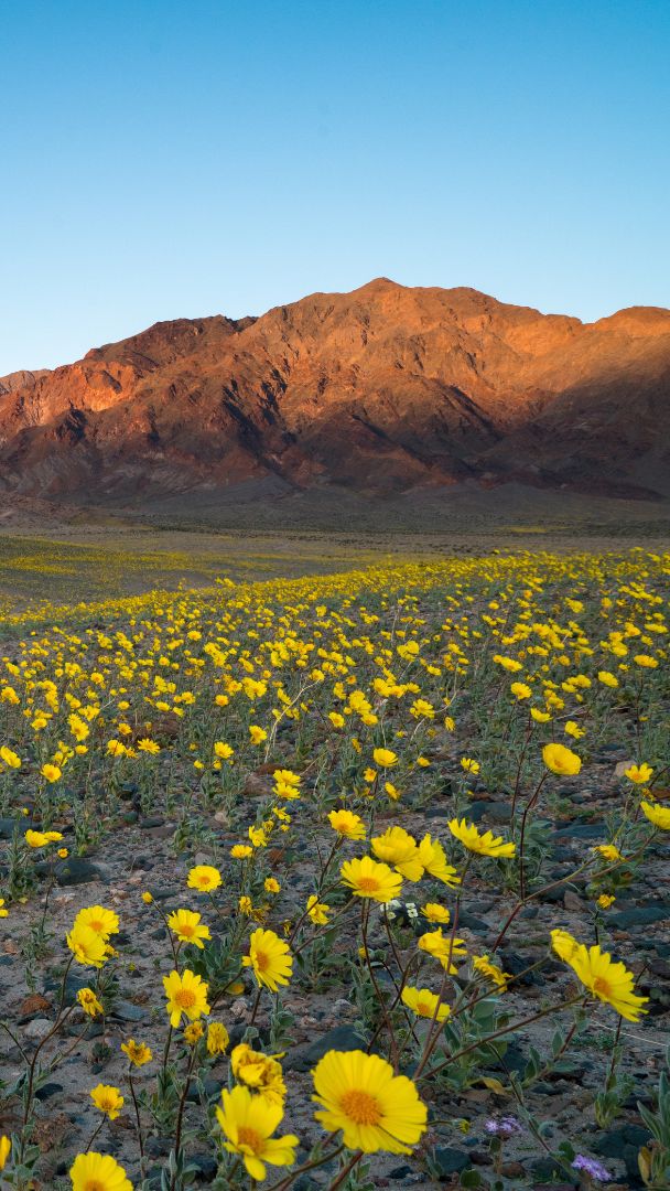 18 Magnificent Things To Do This March In Los Angeles 2026