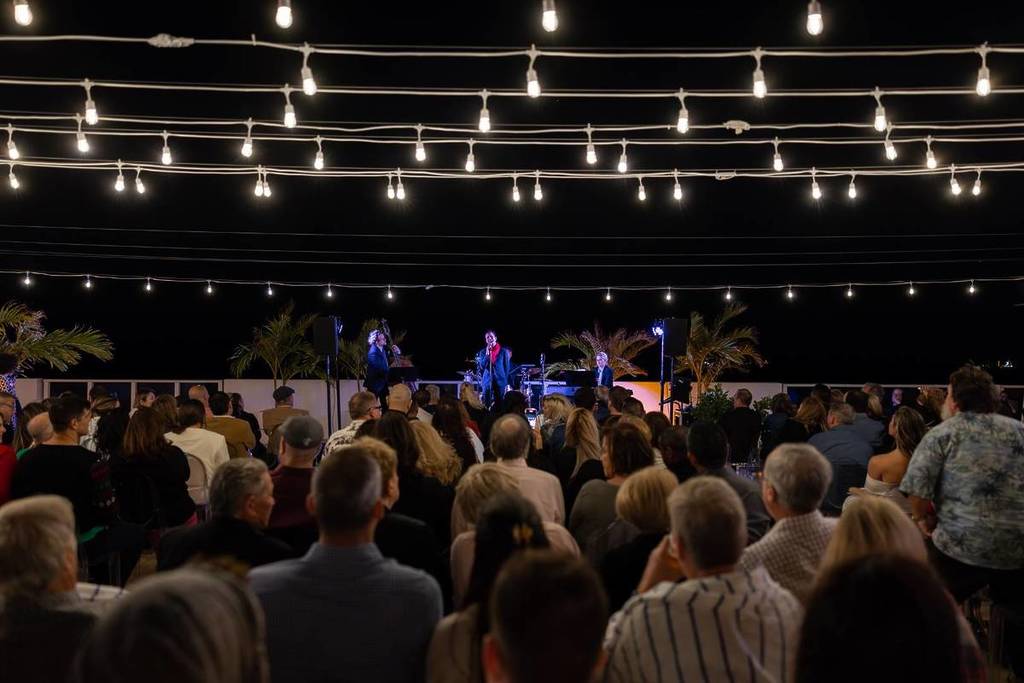 concierto en directo con guirnaldas de luces