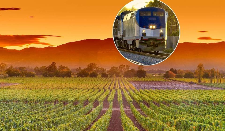 Le voyage de 9 jours « California Wine Country » d&rsquo;Amtrak fait découvrir toutes les grandes régions viticoles en train — et il y a une promo éclair en ce moment même.