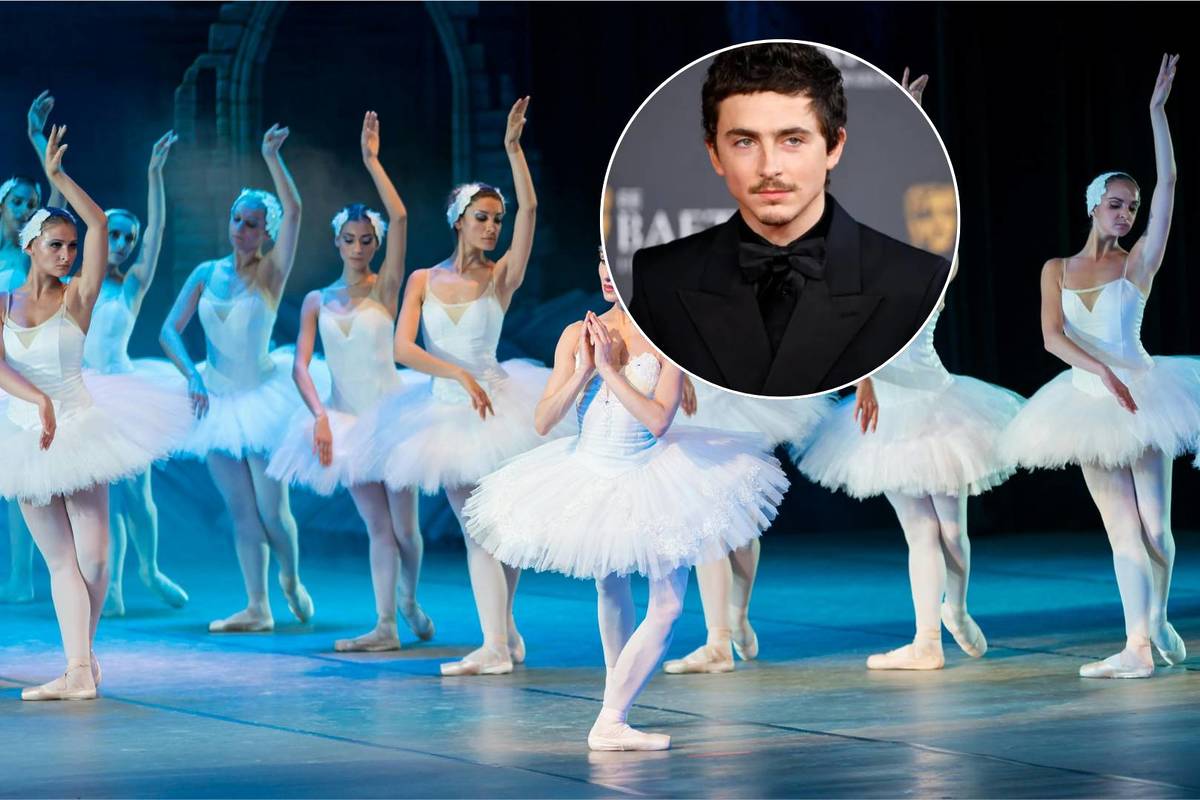 From Sold-Out Shows To AI Debates: How One Viral Comment From Timothée Chalamet Recieved Backlash From The L.A. Arts Scene