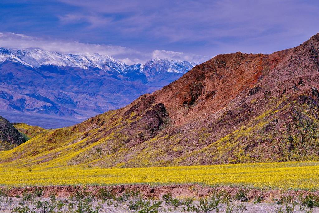 Death Valley during superbloom