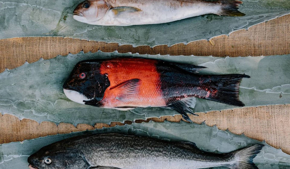 La residencia de Noma en Los Ángeles sigue en pie (sin su jefe de cocina). Esto es lo que hay que saber sobre la experiencia gastronómica de 1500 dólares por plato.