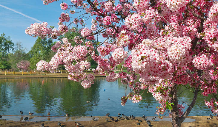 21 Amazing Things To Do In Los Angeles This April 2026