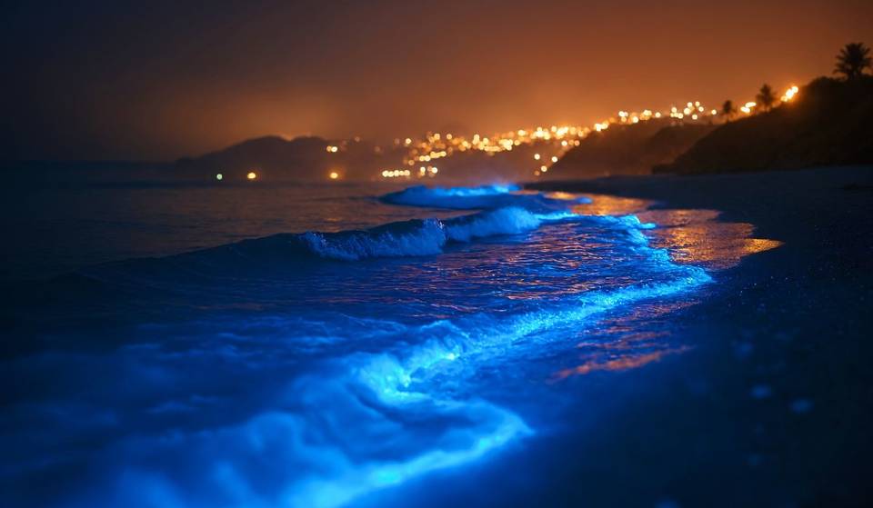 Kalifornien ist einer der wenigen Orte auf der Welt, an denen man biolumineszente Wellen sehen kann: So findest du sie