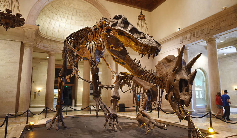 Ce musée de Los Angeles présente la seule exposition au monde de squelettes de Tyrannosaurus rex bébés, juvéniles et adultes — Voici comment tu peux la voir gratuitement