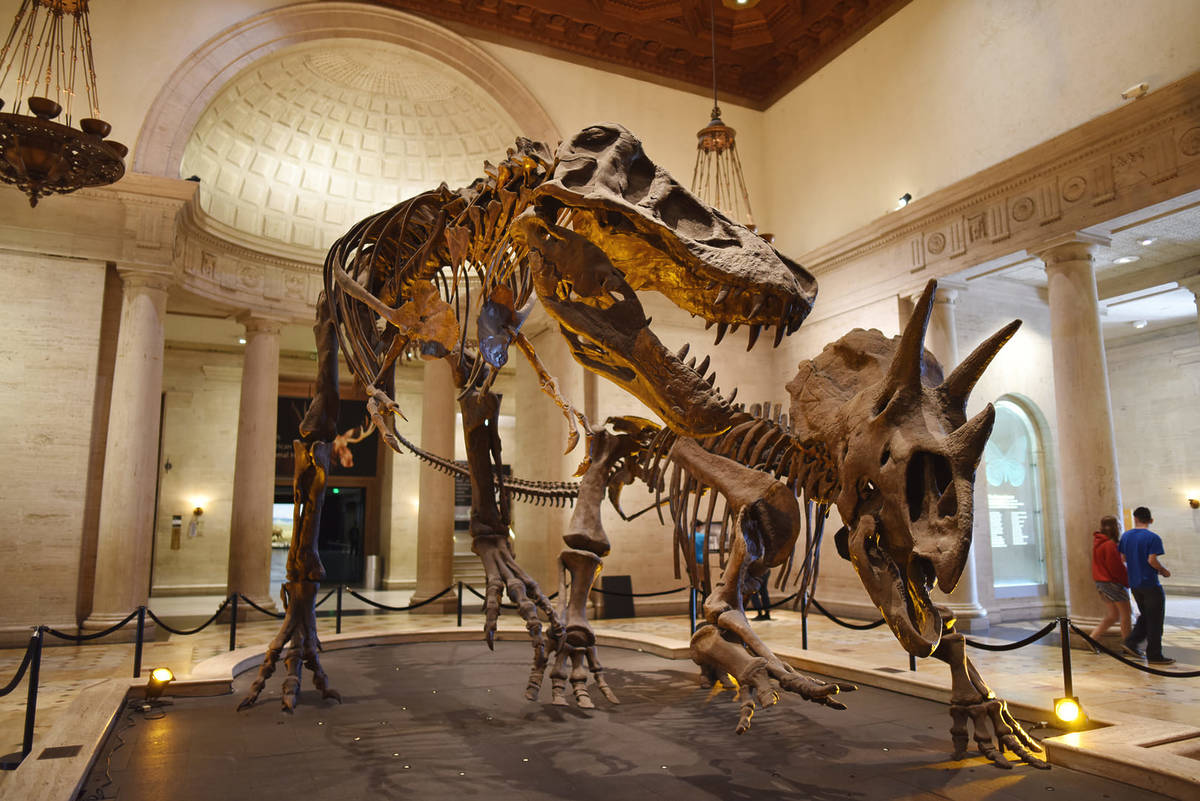 This Los Angeles Museum Has The World’s Only Display Of Baby, Juvenile, And Adult Tyrannosaurus Rex Skeletons — Here’s How You Can See It For Free