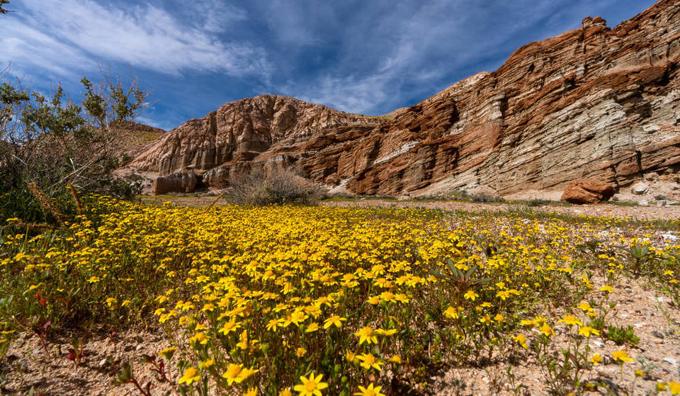Just 2 Hours From L.A., One Of CA’s Most Underrated State Parks Has Fields Of Wildflowers Blooming At The Base Of Its 300-Foot Cliffs