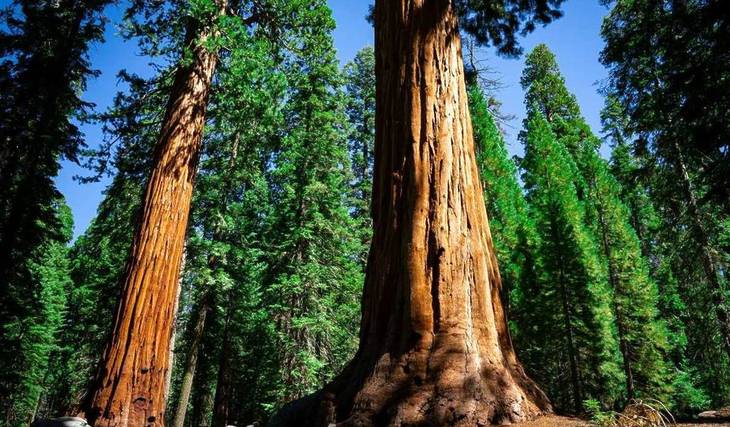 12 Powerful Ways To Celebrate Earth Day In Los Angeles 2026