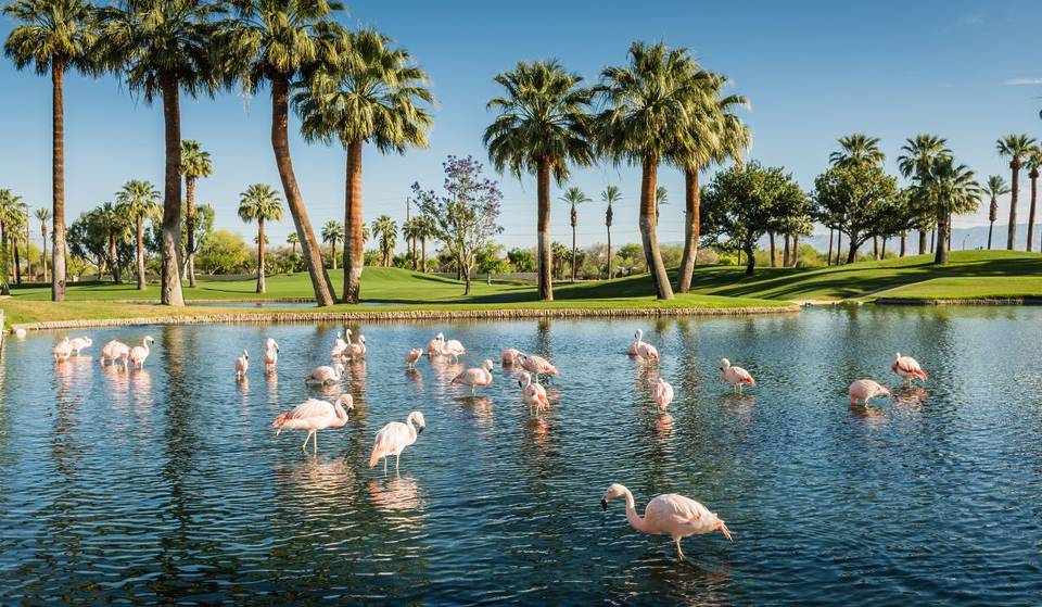 Diese urbane Oase, nur zwei Stunden von L.A. entfernt, ist eine der am schnellsten wachsenden Städte der USA – dank ihres Wohnungsangebots