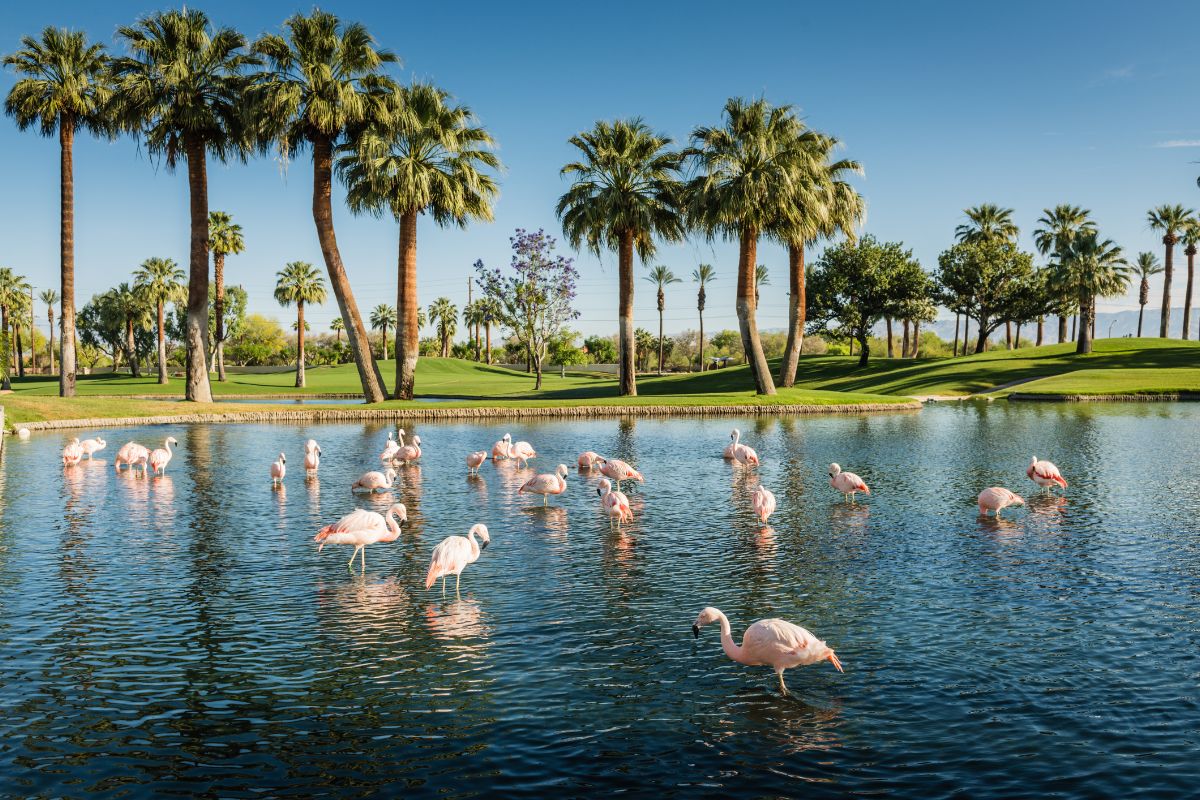 This Urban Oasis Just Two Hours From L.A. Is One Of The Fastest Growing Cities In the U.S. — Thanks To Its Housing Availability