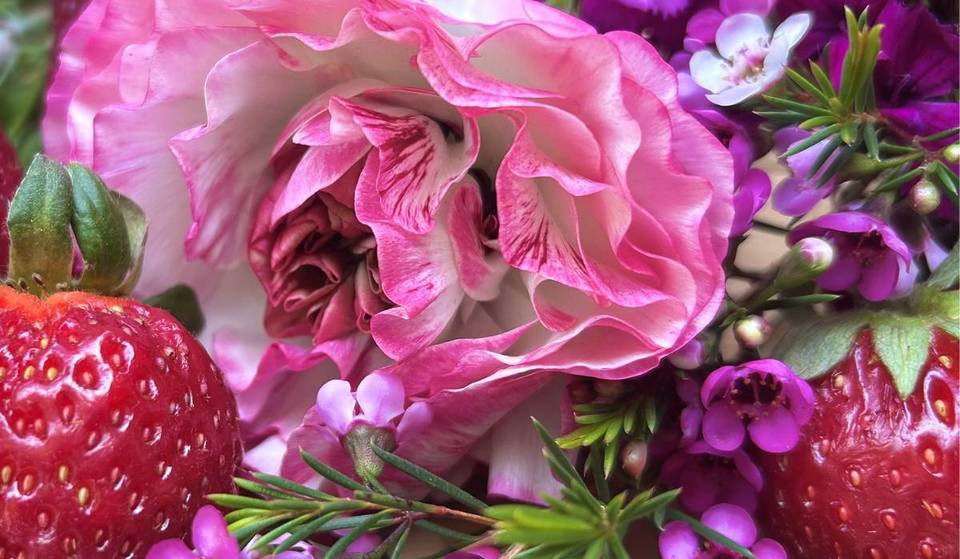 Der „instagrammwürdigste“ Familienplan? Bis zum 10. Mai kannst du jedes Wochenende auf diesem versteckten Bauernhofstand in Oceanside frische Erdbeeren und Lavendel pflücken