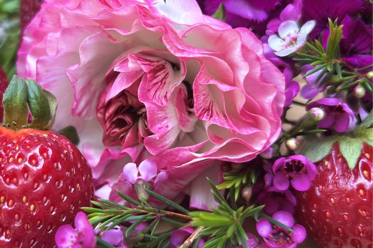 The Most ‘Instagrammable’ Family Plan? You Can Pick Fresh Strawberries And Lavender At This Hidden Oceanside Farmstand Every Weekend Until May 10